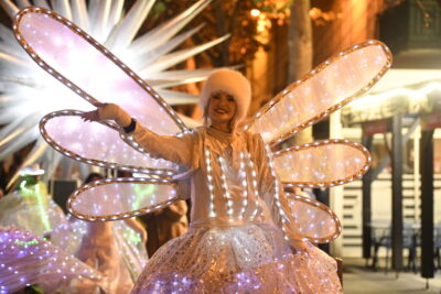 Agrandir l'image 37 sur 39, fenêtre modale