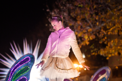 Agrandir l'image 32 sur 39, fenêtre modale