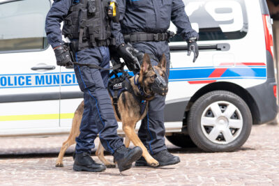 Agrandir l'image 2 sur 2, fenêtre modale