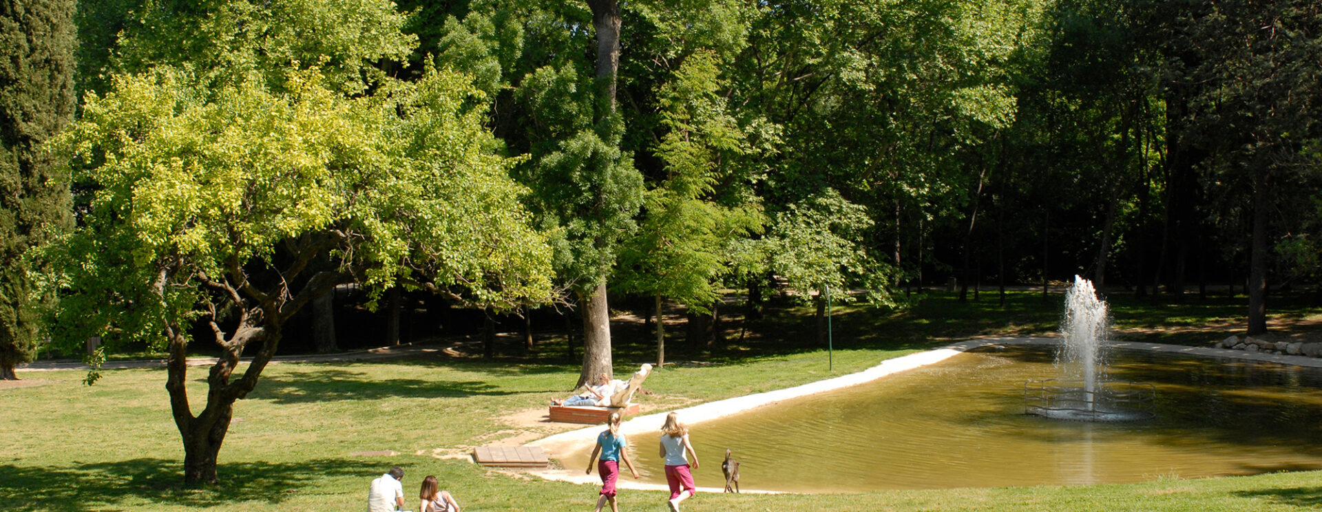 Vue du parc Jean-Moulin d'Aubagne avec ses grands arbres et ses vastes espaces verts