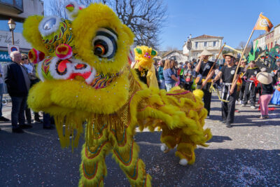 Agrandir l'image 10 sur 33, fenêtre modale