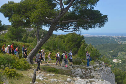 Agrandir l'image, fenêtre modale