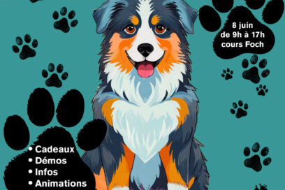 Affiche de la journée dédiée aux animaux : un jeune chien assis nous regarde - Agrandir l'image, fenêtre modale
