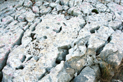 Agrandir l'image 2 sur 3, fenêtre modale