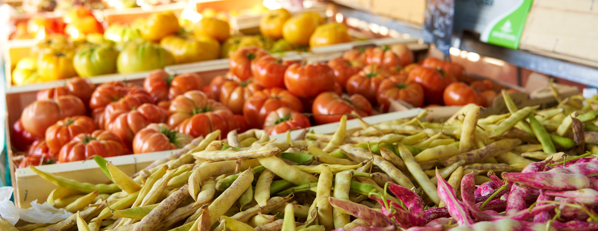 Les couleurs chatoyantes du marché d'Aubagne