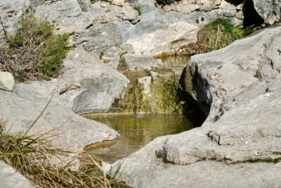 Agrandir l'image 3 sur 3, fenêtre modale