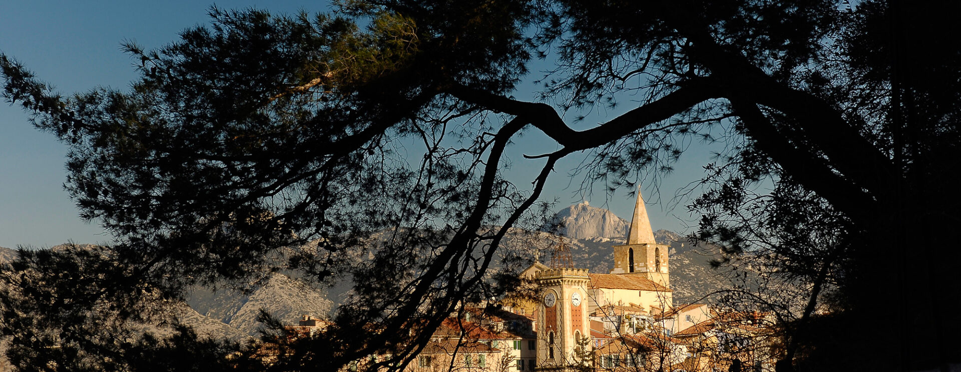 Vue de la vieille ville d'Aubagne à travers des arbres