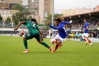 Agrandir l'image 30 sur 38, fenêtre modale