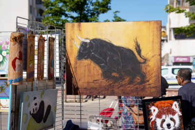 Agrandir l'image 9 sur 18, fenêtre modale