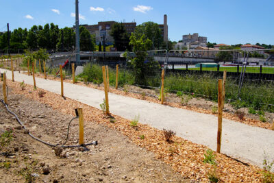 Travaux de désimperméabilisation aux abords de l'Espace des Libertés - Agrandir l'image 2 sur 2, fenêtre modale