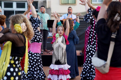 Agrandir l'image 11 sur 39, fenêtre modale