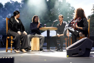 Agrandir l'image 30 sur 39, fenêtre modale