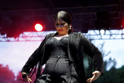 Agrandir l'image 31 sur 39, fenêtre modale