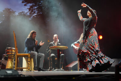 Agrandir l'image 27 sur 39, fenêtre modale