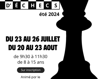 Affiche d'un stage d'échecs avec une grande pièce d'un roi - Agrandir l'image, fenêtre modale