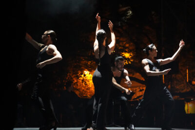 Agrandir l'image 35 sur 39, fenêtre modale