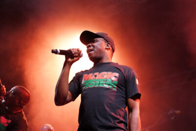 Agrandir l'image 9 sur 55, fenêtre modale