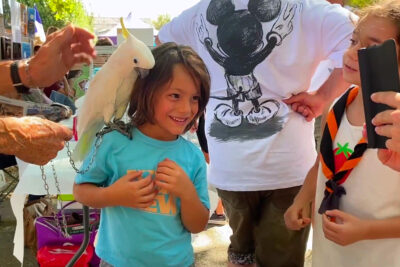 Agrandir l'image 6 sur 10, fenêtre modale