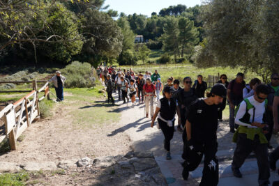 Agrandir l'image 10 sur 36, fenêtre modale