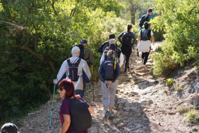 Agrandir l'image 8 sur 36, fenêtre modale
