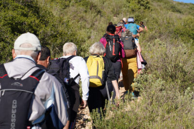 Agrandir l'image 4 sur 36, fenêtre modale