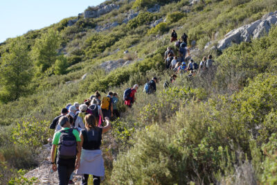 Agrandir l'image 12 sur 36, fenêtre modale