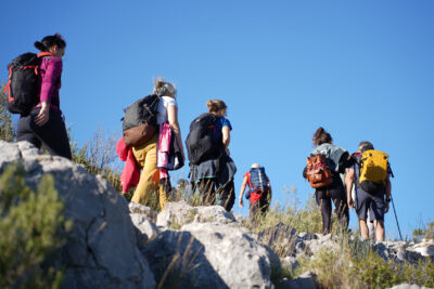 Agrandir l'image 14 sur 36, fenêtre modale