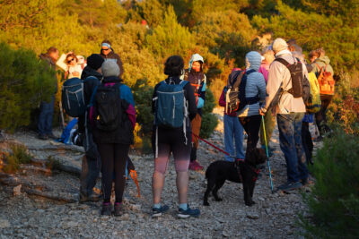 Agrandir l'image 24 sur 36, fenêtre modale