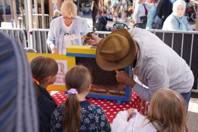 Agrandir l'image 1 sur 21, fenêtre modale