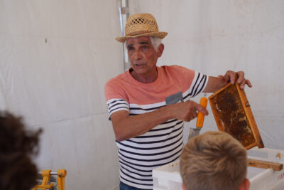 Agrandir l'image 17 sur 21, fenêtre modale