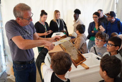 Agrandir l'image 4 sur 21, fenêtre modale