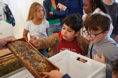 Agrandir l'image 6 sur 21, fenêtre modale