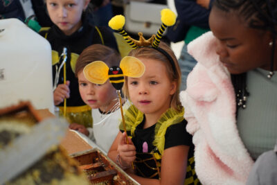 Agrandir l'image 5 sur 21, fenêtre modale