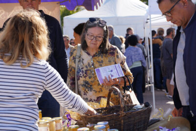 Agrandir l'image 9 sur 21, fenêtre modale