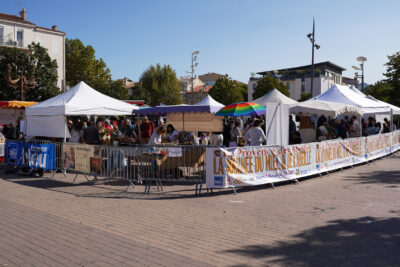 Agrandir l'image 11 sur 21, fenêtre modale