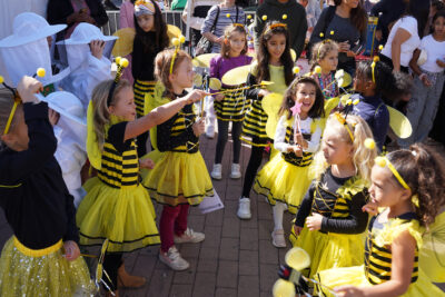 Agrandir l'image 21 sur 21, fenêtre modale