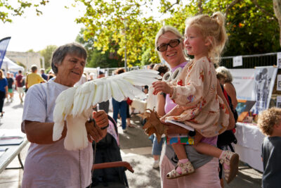 Agrandir l'image 3 sur 86, fenêtre modale