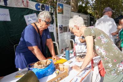 Agrandir l'image 10 sur 86, fenêtre modale