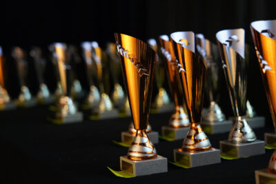 Agrandir l'image 1 sur 42, fenêtre modale