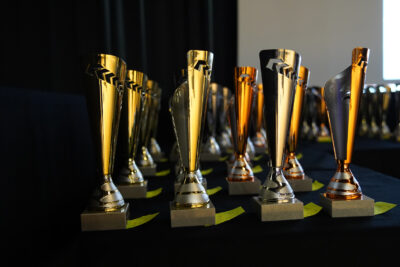 Agrandir l'image 42 sur 42, fenêtre modale