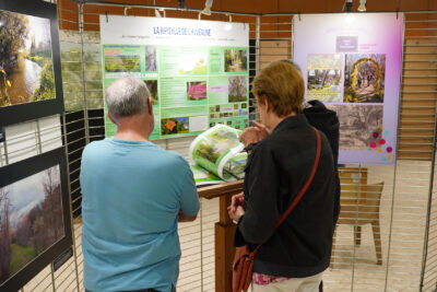 Agrandir l'image 2 sur 21, fenêtre modale