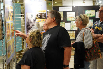 Agrandir l'image 20 sur 21, fenêtre modale