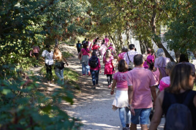 Agrandir l'image 53 sur 60, fenêtre modale