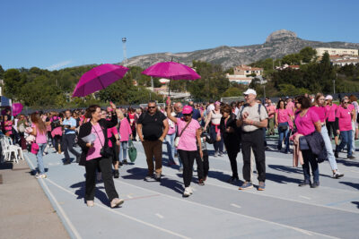 Agrandir l'image 31 sur 60, fenêtre modale