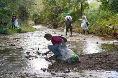 Agrandir l'image 8 sur 21, fenêtre modale