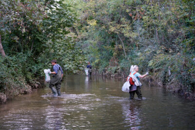 Agrandir l'image 7 sur 21, fenêtre modale