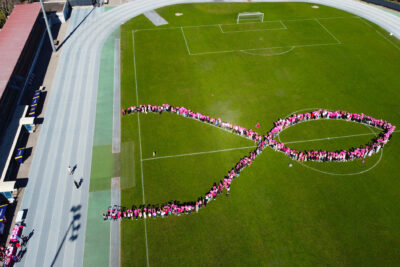 Noeud rose géant sur le stade de Lattre de Tassigny - Agrandir l'image 59 sur 60, fenêtre modale