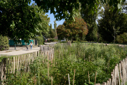 Plantations réalisées par l'EPAGE HuCA au sein du complexe sportif Mésonès - Agrandir l'image, fenêtre modale