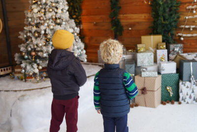 Agrandir l'image 17 sur 21, fenêtre modale