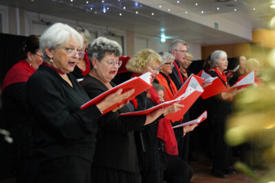 Agrandir l'image 16 sur 30, fenêtre modale